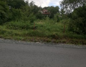 Terrain à vendre dans Cluj-napoca, zone Faget