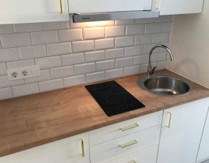 Appartement 1 chambres à louer dans Cluj-napoca, zone Centru