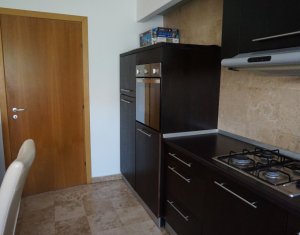 Appartement 2 chambres à louer dans Cluj-napoca, zone Buna Ziua