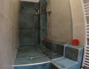 Appartement 1 chambres à vendre dans Cluj-napoca, zone Centru