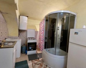 Appartement 1 chambres à vendre dans Cluj-napoca, zone Centru