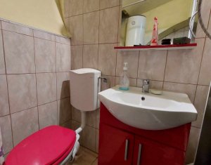 Appartement 1 chambres à vendre dans Cluj-napoca, zone Centru