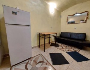Appartement 1 chambres à vendre dans Cluj-napoca, zone Centru