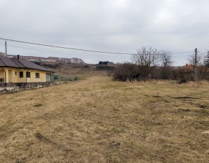 Terrain à vendre dans Apahida