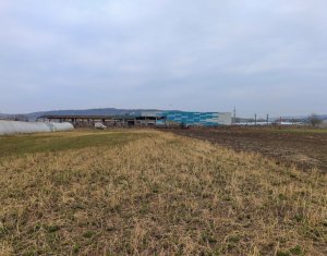 , 3500m2 dans Apahida