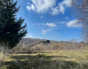 , 4200m2 dans Rasca