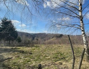 Terrain à vendre dans Rasca