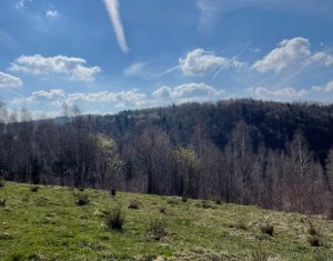 Terrain à vendre dans Rasca