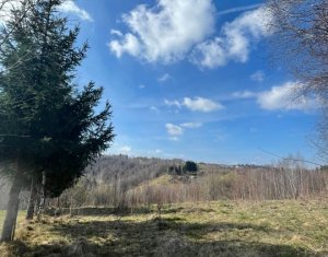Terrain à vendre dans Rasca
