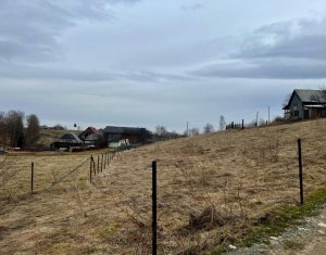 , 3300m2 dans Rasca