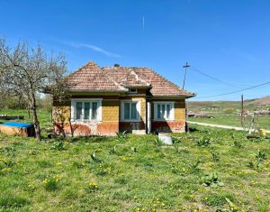 , 50m2 dans Dosu Napului, zone Centru