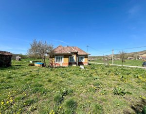Maison 2 chambres à vendre dans Dosu Napului, zone Centru