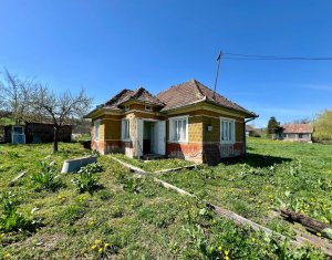 Maison 2 chambres à vendre dans Dosu Napului, zone Centru