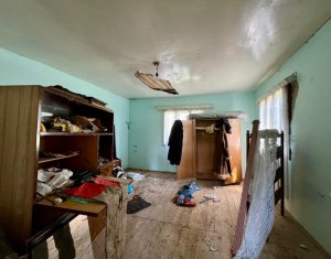 Maison 2 chambres à vendre dans Dosu Napului, zone Centru