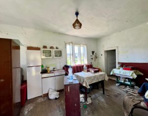 Maison 2 chambres à vendre dans Dosu Napului, zone Centru