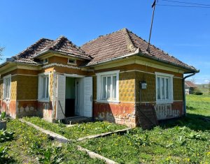 Maison 2 chambres à vendre dans Dosu Napului, zone Centru