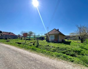 Maison 2 chambres à vendre dans Dosu Napului, zone Centru