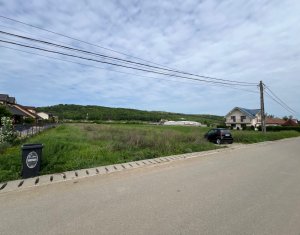 , 2924m2 dans Jucu De Mijloc