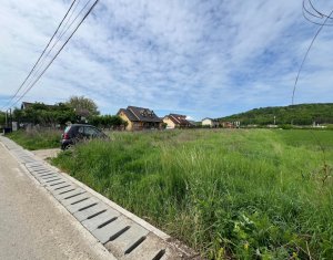 Terrain à vendre dans Jucu De Mijloc