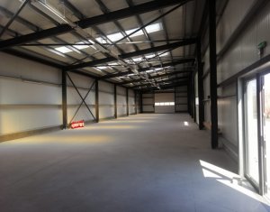 Espace Industriel à louer dans Cluj-napoca, zone Someseni