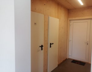 Espace Industriel à louer dans Cluj-napoca, zone Someseni