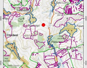 Teren in Padureni - Chinteni, 5800 mp, intravilan, Lv1 - viitoare constructii