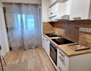 Appartement 2 chambres à louer dans Cluj-napoca, zone Gheorgheni
