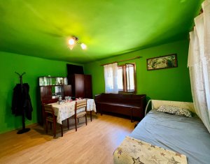 Maison 4 chambres à vendre dans Filea De Sus, zone Centru