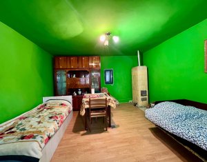 Maison 4 chambres à vendre dans Filea De Sus, zone Centru