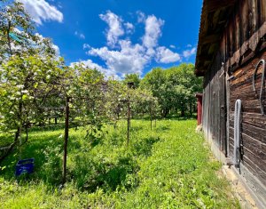 Maison 4 chambres à vendre dans Filea De Sus, zone Centru
