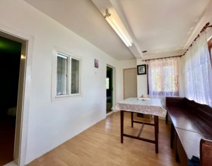 Maison 4 chambres à vendre dans Filea De Sus, zone Centru