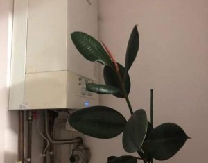 Appartement 2 chambres à louer dans Cluj-napoca, zone Gheorgheni
