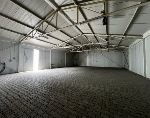 Espace Industriel à louer dans Cluj-napoca, zone Someseni