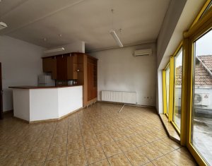 Espace Industriel à louer dans Cluj-napoca, zone Someseni
