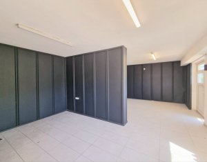Espace Commercial à louer, 45m2 dans Cluj-napoca, zone Someseni
