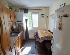 Appartement 2 chambres à louer dans Cluj-napoca, zone Manastur