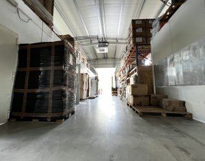 Espace Industriel à vendre dans Baciu