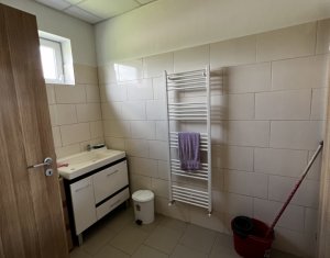 Espace Industriel à vendre dans Baciu
