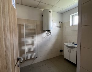 Espace Industriel à vendre dans Baciu