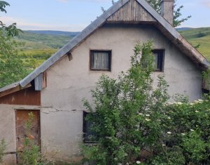 Terrain à vendre dans Cluj-napoca, zone Sopor