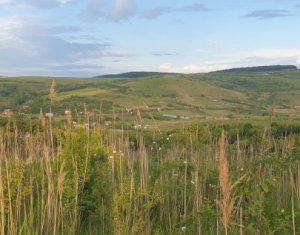 Terrain à vendre dans Cluj-napoca, zone Sopor