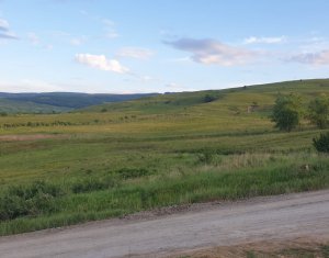 Terrain à vendre dans Cluj-napoca, zone Sopor