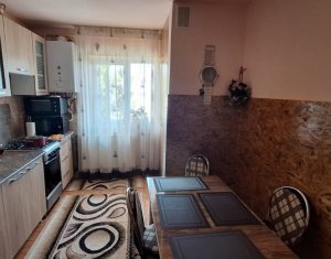 Appartement 1 chambres à louer dans Cluj-napoca, zone Zorilor
