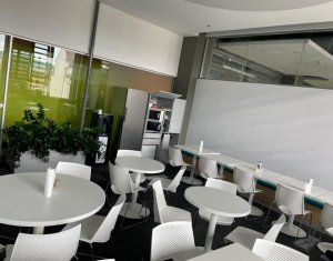 Bureau à louer dans Cluj-napoca, zone Centru