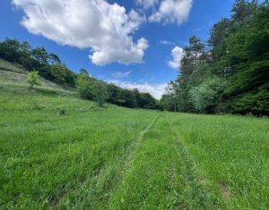 Terrain à vendre dans Savadisla