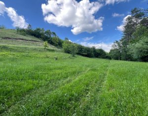 Terrain à vendre dans Savadisla