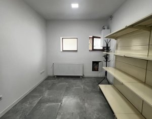 Espace Industriel à louer dans Cluj-napoca, zone Iris
