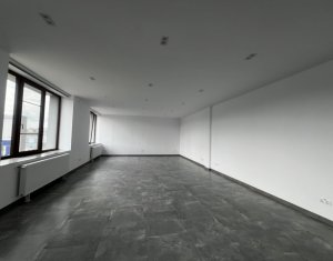 Espace Industriel à louer dans Cluj-napoca, zone Iris