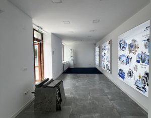 Espace Commercial à louer dans Cluj-napoca, zone Iris