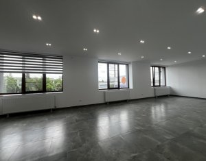 Espace Commercial à louer dans Cluj-napoca, zone Iris